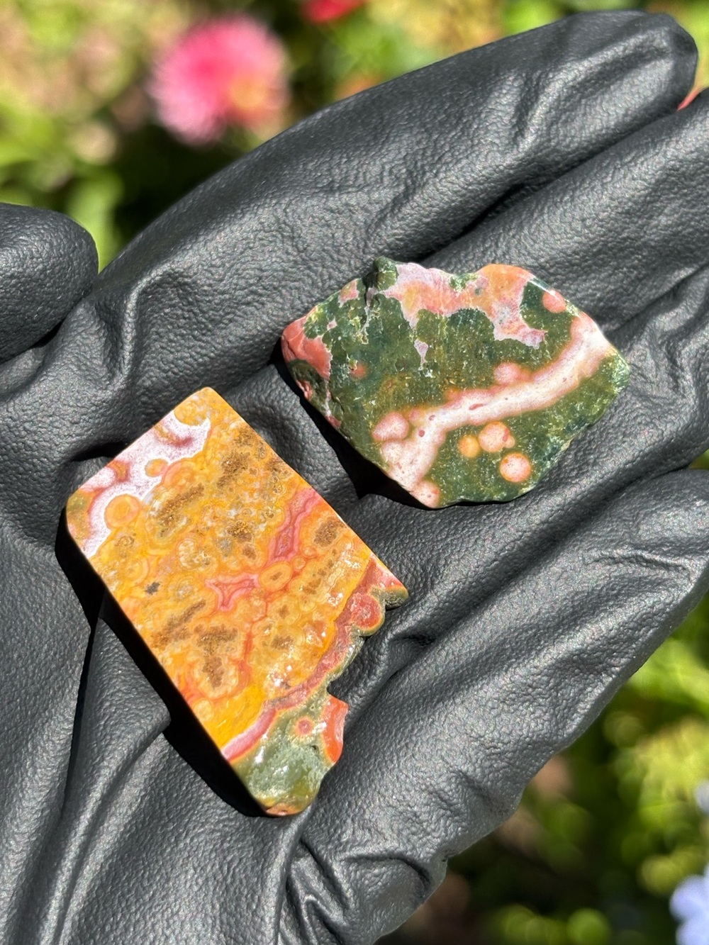 Small Ocean Jasper Crystal Set - Polished Sea Jasper Bundle - Orbicular Jasper